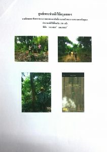 ศูนย์เพาะชำกล้าไม้กรุงเทพฯ - แปลงปลูกต้นไม้59 แปลงที่ 7