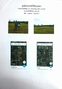 ศูนย์เพาะชำกล้าไม้กรุงเทพฯ - แปลงปลูกต้นไม้59 แปลงที่ 8