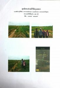 ศูนย์เพาะชำกล้าไม้กรุงเทพฯ - แปลงปลูกต้นไม้59 แปลงที่ 9