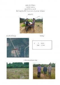 ศูนย์เพาะชำกล้าไม้ชุมพร - แปลงปลูกต้นไม้59 แปลงที่ 2