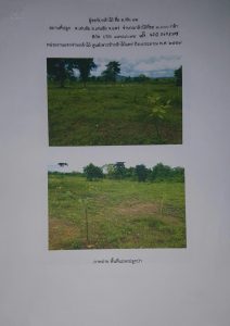 ศูนย์เพาะชำกล้าไม้แพร่- แปลงปลูกต้นไม้59 แปลงที่ 1