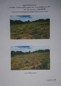 ศูนย์เพาะชำกล้าไม้แพร่- แปลงปลูกต้นไม้59 แปลงที่ 2