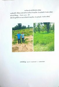 สถานีเพาะชำกล้าไม้จังหวัดกาฬสินธุ์- แปลงปลูกต้นไม้59 แปลงที่ 1