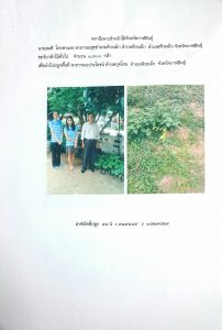 สถานีเพาะชำกล้าไม้จังหวัดกาฬสินธุ์- แปลงปลูกต้นไม้59 แปลงที่ 2