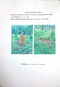 สถานีเพาะชำกล้าไม้จังหวัดกาฬสินธุ์- แปลงปลูกต้นไม้59 แปลงที่ 3