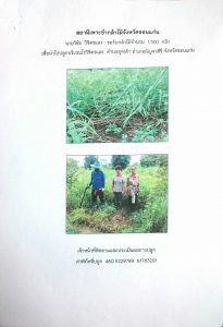 สถานีเพาะชำกล้าไม้จังหวัดขอนแก่น- แปลงปลูกต้นไม้59 แปลงที่ 1