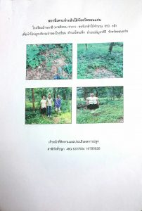 สถานีเพาะชำกล้าไม้จังหวัดขอนแก่น- แปลงปลูกต้นไม้59 แปลงที่ 3