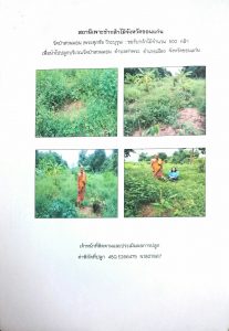 สถานีเพาะชำกล้าไม้จังหวัดขอนแก่น- แปลงปลูกต้นไม้59 แปลงที่ 5