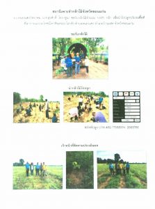 สถานีเพาะชำกล้าไม้จังหวัดขอนแก่น- แปลงปลูกต้นไม้59 แปลงที่ 6