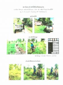 สถานีเพาะชำกล้าไม้จังหวัดขอนแก่น- แปลงปลูกต้นไม้59 แปลงที่ 8