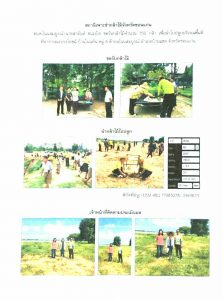 สถานีเพาะชำกล้าไม้จังหวัดขอนแก่น- แปลงปลูกต้นไม้59 แปลงที่ 9