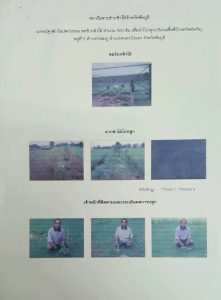 สถานีเพาะชำกล้าไม้จังหวัดชัยภูมิ- แปลงปลูกต้นไม้59 แปลงที่ 1