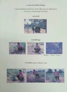 สถานีเพาะชำกล้าไม้จังหวัดชัยภูมิ- แปลงปลูกต้นไม้59 แปลงที่ 2