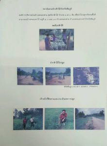 สถานีเพาะชำกล้าไม้จังหวัดชัยภูมิ- แปลงปลูกต้นไม้59 แปลงที่ 3