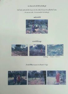 สถานีเพาะชำกล้าไม้จังหวัดชัยภูมิ- แปลงปลูกต้นไม้59 แปลงที่ 4