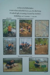 สถานีเพาะชำกล้าไม้จังหวัดพังงา- แปลงปลูกต้นไม้59