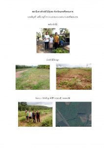 สถานีเพาะชำกล้าไม้ทุ่งสง จังหวัดนครศรีธรรมราช- แปลงปลูกต้นไม้59