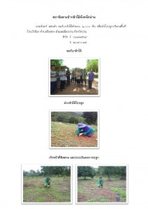 สถานีเพาะชำกล้าไม้จังหวัดน่าน- แปลงปลูกต้นไม้59