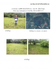 สถานีเพาะชำกล้าไม้จังหวัดบึงกาฬ - แปลงปลูกต้นไม้59 แปลงที่ 2