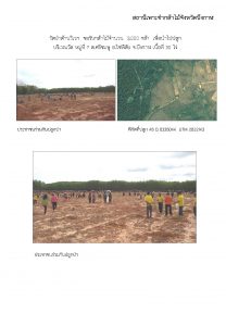 สถานีเพาะชำกล้าไม้จังหวัดบึงกาฬ - แปลงปลูกต้นไม้59 แปลงที่ 3