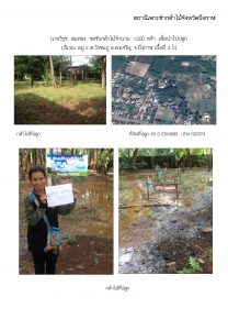 สถานีเพาะชำกล้าไม้จังหวัดบึงกาฬ - แปลงปลูกต้นไม้59 แปลงที่ 4