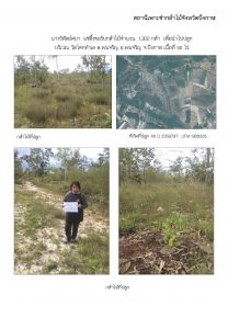 สถานีเพาะชำกล้าไม้จังหวัดบึงกาฬ - แปลงปลูกต้นไม้59 แปลงที่ 5