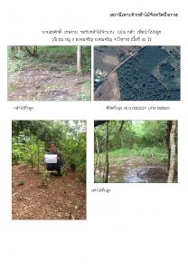 สถานีเพาะชำกล้าไม้จังหวัดบึงกาฬ - แปลงปลูกต้นไม้59 แปลงที่ 7