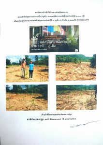 สถานีเพาะชำกล้าไม้บ้านฝาง จังหวัดขอนแก่น- แปลงปลูกต้นไม้59 แปลงที่ 1