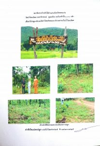 สถานีเพาะชำกล้าไม้บ้านฝาง จังหวัดขอนแก่น- แปลงปลูกต้นไม้59 แปลงที่ 2