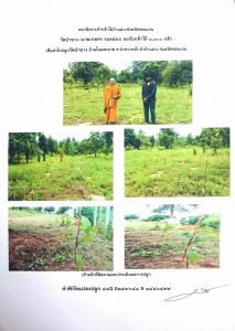 สถานีเพาะชำกล้าไม้บ้านฝาง จังหวัดขอนแก่น- แปลงปลูกต้นไม้59 แปลงที่ 6