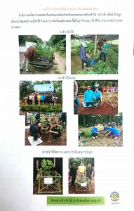 สถานีเพาะชำกล้าไม้เมืองปาย จังหวัดแม่ฮ่องสอน - แปลงปลูกต้นไม้59