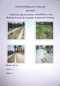 สถานีเพาะชำกล้าไม้พุทธมณฑล จังหวัดนครปฐม-แปลงปลูก59 แปลงที่ 2