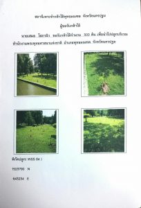 สถานีเพาะชำกล้าไม้พุทธมณฑล จังหวัดนครปฐม-แปลงปลูก59 แปลงที่ 3