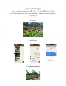 สถานีเพาะชำกล้าไม้จังหวัดภูเก็ต- แปลงปลูกต้นไม้59