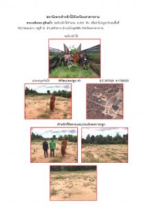 สถานีเพาะชำกล้าไม้จังหวัดมหาสารคาม - แปลงปลูกต้นไม้59 แปลงที่ 2