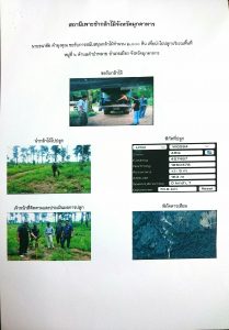 สถานีเพาะชำกล้าไม้จังหวัดมุกดาหาร- แปลงปลูกต้นไม้59 แปลงที่ 1