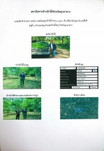 สถานีเพาะชำกล้าไม้จังหวัดมุกดาหาร- แปลงปลูกต้นไม้59 แปลงที่ 2