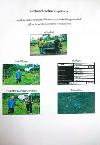 สถานีเพาะชำกล้าไม้จังหวัดมุกดาหาร- แปลงปลูกต้นไม้59 แปลงที่ 3