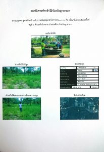 สถานีเพาะชำกล้าไม้จังหวัดมุกดาหาร- แปลงปลูกต้นไม้59 แปลงที่ 4