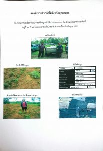 สถานีเพาะชำกล้าไม้จังหวัดมุกดาหาร- แปลงปลูกต้นไม้59 แปลงที่ 5