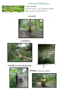 สถานีเพาะชำกล้าไม้จังหวัดยะลา-แปลงปลูก59 แปลงที่ 3