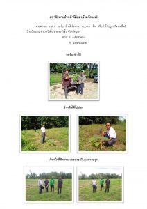 สถานีเพาะชำกล้าไม้ลอง จังหวัดแพร่- แปลงปลูกต้นไม้59