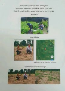 สถานีเพาะชำกล้าไม้ละหานทราย จังหวัดบุรีรัมย์ - แปลงปลูกต้นไม้59 แปลงที่ 2