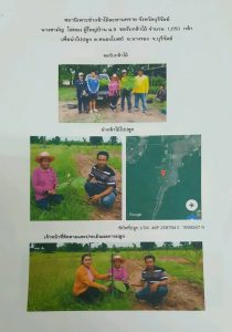 สถานีเพาะชำกล้าไม้ละหานทราย จังหวัดบุรีรัมย์ - แปลงปลูกต้นไม้59 แปลงที่ 3