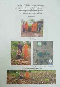 สถานีเพาะชำกล้าไม้ละหานทราย จังหวัดบุรีรัมย์ - แปลงปลูกต้นไม้59 แปลงที่ 5