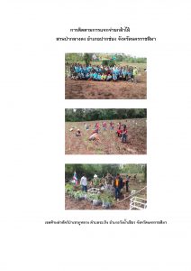 สวนป่ากลางดง-แปลงปลูก59 แปลงที่ 1