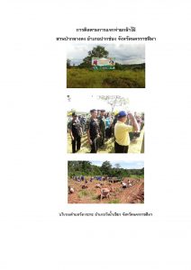 สวนป่ากลางดง-แปลงปลูก59 แปลงที่ 3