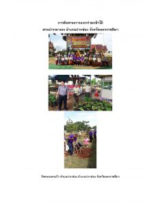 สวนป่ากลางดง-แปลงปลูก59 แปลงที่ 4