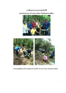 สวนป่ากลางดง-แปลงปลูก59 แปลงที่ 5