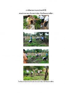 สวนป่ากลางดง-แปลงปลูก59 แปลงที่ 7